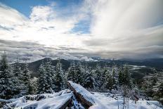 Snowy Sentinels II-Keith Morgan-Photographic Print