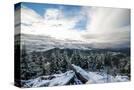 Stretched Canvas