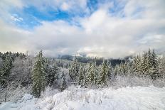 Snowy Sentinels II-Keith Morgan-Photographic Print