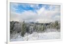 Gramercy White