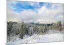 Wood Mount