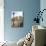 Keizersgracht, Amsterdam, Netherlands, Europe-null-Mounted Photographic Print displayed on a wall