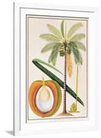 Kelapa or Coconut Palm-Porter Design-Framed Giclee Print