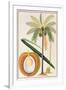 Kelapa or Coconut Palm-Porter Design-Framed Giclee Print