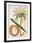 Kelapa or Coconut Palm-Porter Design-Framed Giclee Print