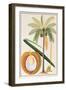 Kelapa or Coconut Palm-Porter Design-Framed Giclee Print