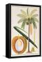 Kelapa or Coconut Palm-Porter Design-Framed Stretched Canvas