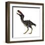 Kelenken Is an Extinct Genus of Giant Flightless Predatory Birds-null-Framed Art Print