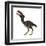 Kelenken Is an Extinct Genus of Giant Flightless Predatory Birds-null-Framed Art Print