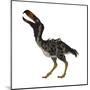 Kelenken Is an Extinct Genus of Giant Flightless Predatory Birds-null-Mounted Art Print