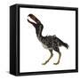 Kelenken Is an Extinct Genus of Giant Flightless Predatory Birds-null-Framed Stretched Canvas