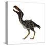 Kelenken Is an Extinct Genus of Giant Flightless Predatory Birds-null-Stretched Canvas