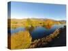 Kellands Pond, South Canterbury, South Island, New Zealand-David Wall-Stretched Canvas