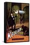 Kellar: Levitation-null-Framed Stretched Canvas