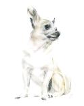 Tommy The Terrier-Kellas Campbell-Giclee Print