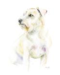 Tommy The Terrier-Kellas Campbell-Giclee Print