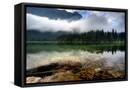 Framed Canvas