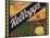 Kelloggs Brand - Casa Blanca, California - Citrus Crate Label-Lantern Press-Stretched Canvas