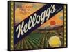 Kelloggs Brand - Casa Blanca, California - Citrus Crate Label-Lantern Press-Framed Stretched Canvas