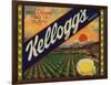 Kelloggs Brand - Casa Blanca, California - Citrus Crate Label-Lantern Press-Framed Art Print