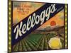 Kelloggs Brand - Casa Blanca, California - Citrus Crate Label-Lantern Press-Mounted Art Print