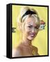 Kelly Carlson-null-Framed Stretched Canvas