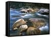 Kelly Creek, Clearwater National Forest, Idaho, USA-Charles Gurche-Framed Stretched Canvas