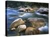 Kelly Creek, Clearwater National Forest, Idaho, USA-Charles Gurche-Stretched Canvas