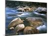 Kelly Creek, Clearwater National Forest, Idaho, USA-Charles Gurche-Mounted Photographic Print