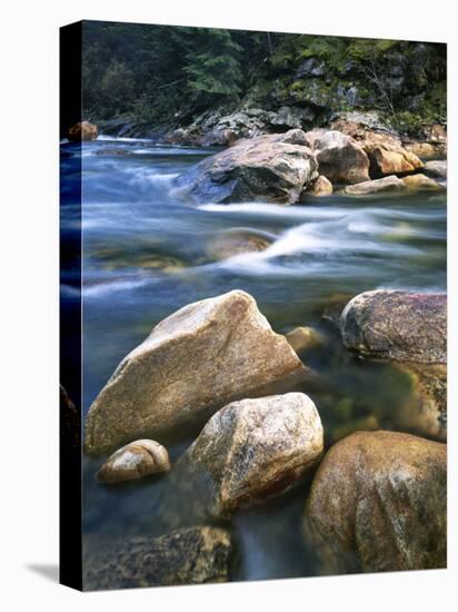 Kelly Creek, Clearwater National Forest, Idaho, USA-Charles Gurche-Stretched Canvas