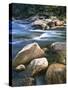 Kelly Creek, Clearwater National Forest, Idaho, USA-Charles Gurche-Stretched Canvas