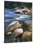 Kelly Creek, Clearwater National Forest, Idaho, USA-Charles Gurche-Stretched Canvas