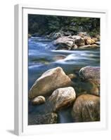 Kelly Creek, Clearwater National Forest, Idaho, USA-Charles Gurche-Framed Premium Photographic Print
