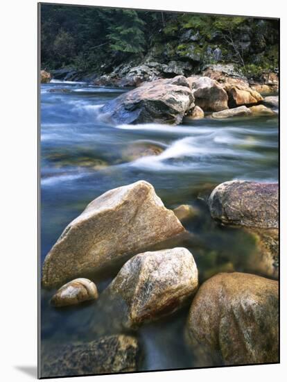 Kelly Creek, Clearwater National Forest, Idaho, USA-Charles Gurche-Mounted Premium Photographic Print