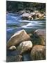 Kelly Creek, Clearwater National Forest, Idaho, USA-Charles Gurche-Mounted Premium Photographic Print