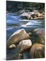 Kelly Creek, Clearwater National Forest, Idaho, USA-Charles Gurche-Mounted Photographic Print