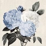 Blue Botanical Arrangement II-Kelly Donovan-Art Print