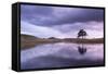 Kelly Hall Tarn at Twilight, Lake District, Cumbria, England. Autumn (November)-Adam Burton-Framed Stretched Canvas