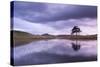 Kelly Hall Tarn at Twilight, Lake District, Cumbria, England. Autumn (November)-Adam Burton-Stretched Canvas