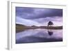 Kelly Hall Tarn at Twilight, Lake District, Cumbria, England. Autumn (November)-Adam Burton-Framed Photographic Print