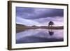 Kelly Hall Tarn at Twilight, Lake District, Cumbria, England. Autumn (November)-Adam Burton-Framed Photographic Print