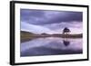 Kelly Hall Tarn at Twilight, Lake District, Cumbria, England. Autumn (November)-Adam Burton-Framed Photographic Print