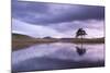 Kelly Hall Tarn at Twilight, Lake District, Cumbria, England. Autumn (November)-Adam Burton-Mounted Photographic Print