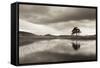 Kelly Hall Tarn at Twilight, Lake District, Cumbria, England. Autumn (November)-Adam Burton-Framed Stretched Canvas