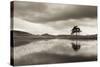 Kelly Hall Tarn at Twilight, Lake District, Cumbria, England. Autumn (November)-Adam Burton-Stretched Canvas