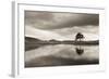 Kelly Hall Tarn at Twilight, Lake District, Cumbria, England. Autumn (November)-Adam Burton-Framed Photographic Print