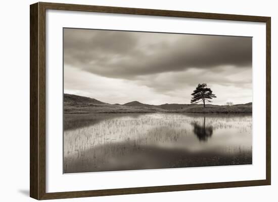 Kelly Hall Tarn at Twilight, Lake District, Cumbria, England. Autumn (November)-Adam Burton-Framed Photographic Print
