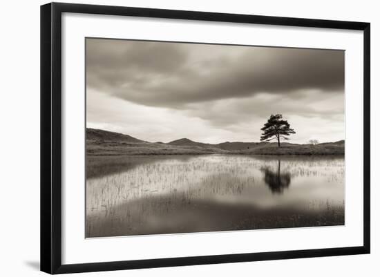 Kelly Hall Tarn at Twilight, Lake District, Cumbria, England. Autumn (November)-Adam Burton-Framed Photographic Print