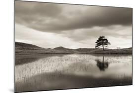 Kelly Hall Tarn at Twilight, Lake District, Cumbria, England. Autumn (November)-Adam Burton-Mounted Photographic Print