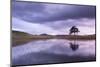 Kelly Hall Tarn at Twilight, Lake District, Cumbria, England. Autumn (November)-Adam Burton-Mounted Photographic Print